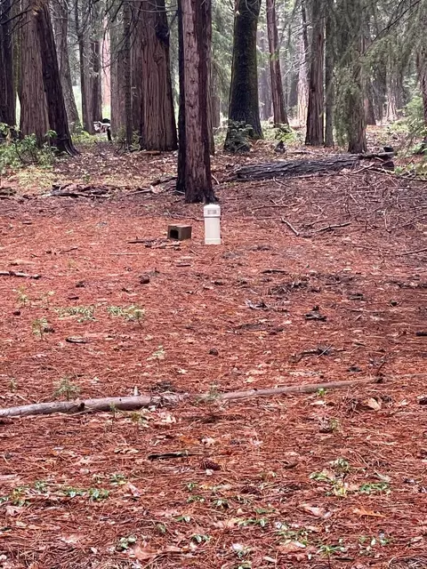 Hide Away Loop, Alta, CA 95701 photo 4
