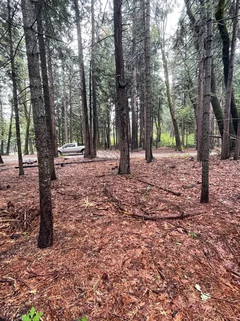 Hide Away Loop, Alta, CA 95701 photo 2