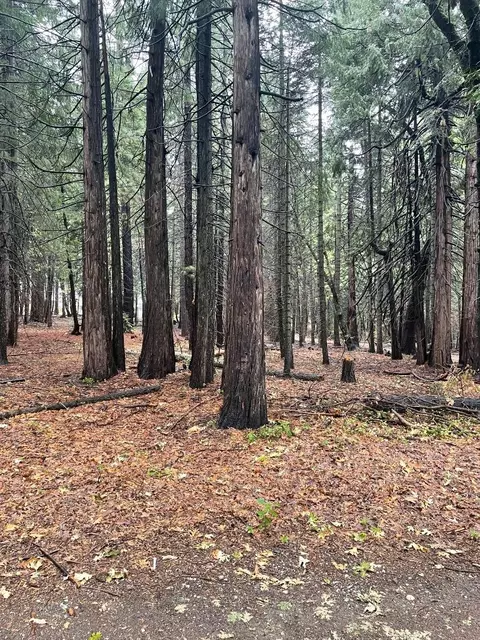 Hide Away Loop, Alta, CA 95701 photo 6