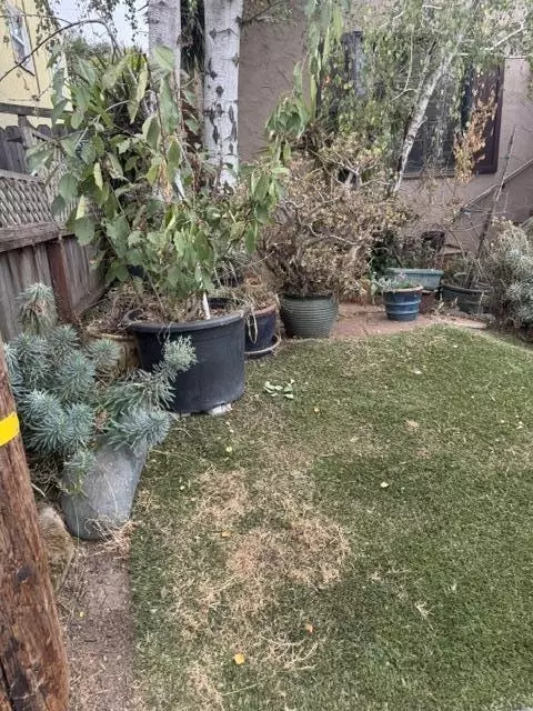 Exterior - 69 D St, Vallejo, CA 94590 photo 6 of 11