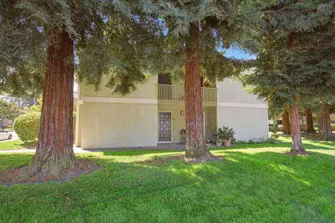 Exterior - 280 Easy St 209, Mountain View, CA 94043 photo 5 of 7