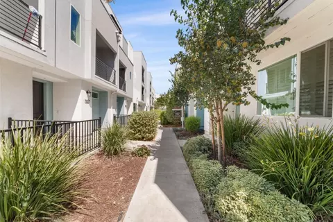 Exterior - 709 Fruit Ranch Loop, San Jose, CA 95133 photo 2 of 5