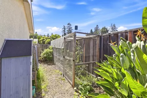 Exterior - 726 Muir Dr, Mountain View, CA 94041 photo 10 of 12