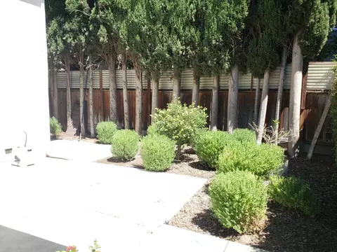 Exterior - 166 Michael Dr, Campbell, CA 95008 photo 6 of 9