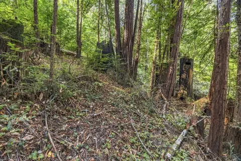 01 Pringle, Soquel, CA 95073 photo 17