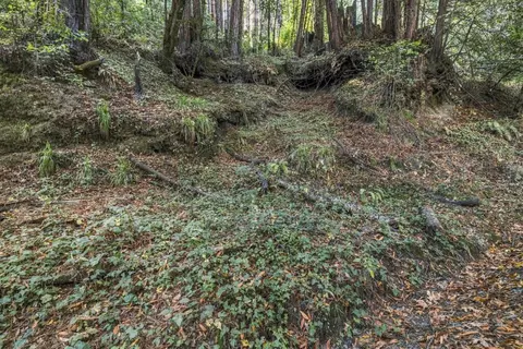 01 Pringle, Soquel, CA 95073 photo 15