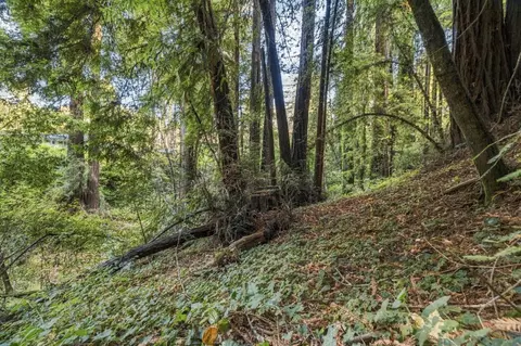 01 Pringle, Soquel, CA 95073 photo 11