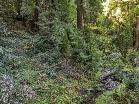 01 Pringle, Soquel, CA 95073 photo 24