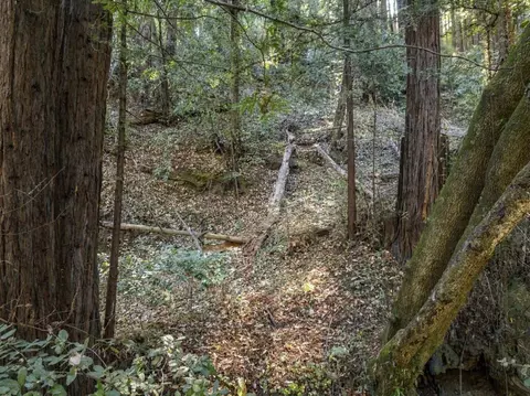 01 Pringle, Soquel, CA 95073 photo 22