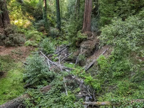 01 Pringle, Soquel, CA 95073 photo 25