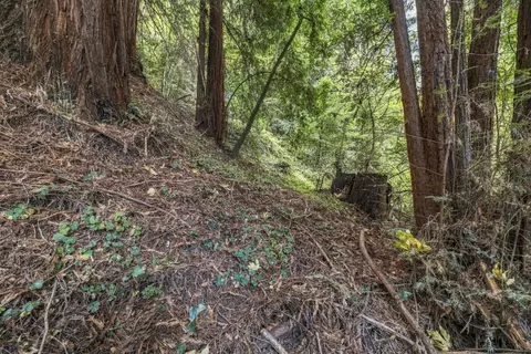01 Pringle, Soquel, CA 95073 photo 10