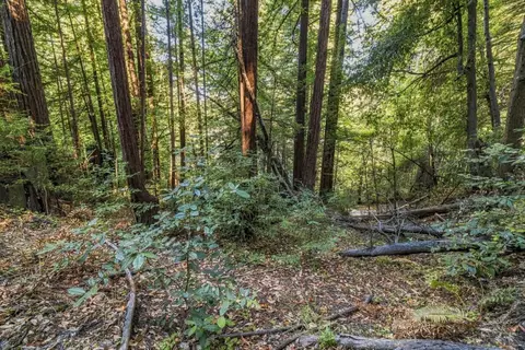 01 Pringle, Soquel, CA 95073 photo 19