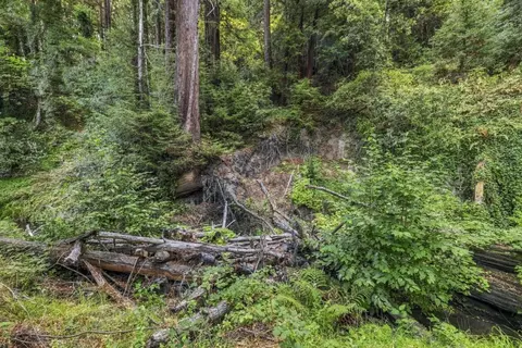 01 Pringle, Soquel, CA 95073 photo 14