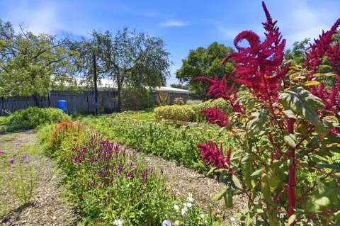 View/Area - 10095 Monterey Rd, Gilroy, CA 95020 photo 2 of 4