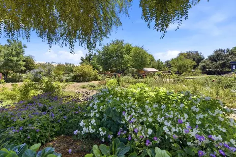 View/Area - 10095 Monterey Rd, Gilroy, CA 95020 photo 3 of 4
