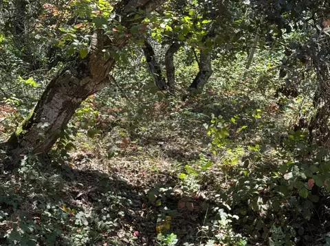 Undisclosed, Salinas, CA 93907 photo 3