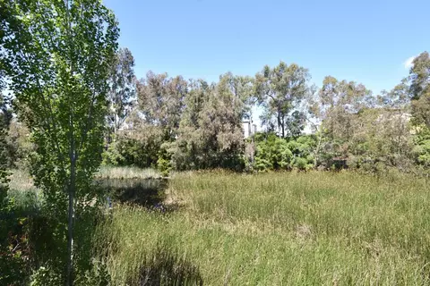 Other - 1047 N Abbott Ave, Milpitas, CA 95035 photo 9 of 10