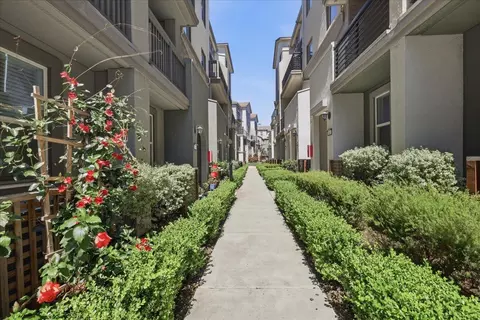 Exterior - 1463 Lavender Loop, Milpitas, CA 95035 photo 5 of 7