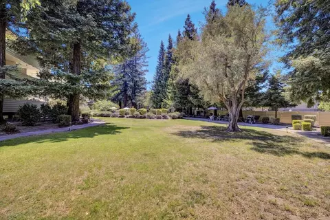 Exterior - 1031 Crestview Dr 216, Mountain View, CA 94040 photo 11 of 14
