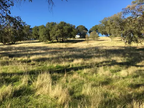 1375 Shaws Flat Rd, Sonora, CA 95370 photo 5