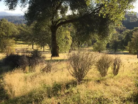 1375 Shaws Flat Rd, Sonora, CA 95370 photo 6