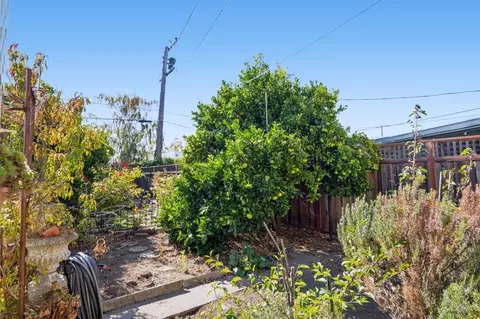 Exterior - 209 Elder Ave, Millbrae, CA 94030 photo 10 of 10