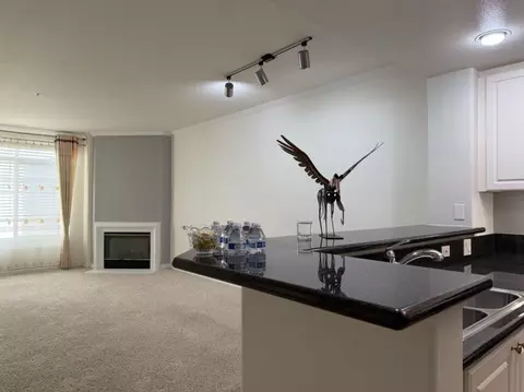 Living - 9263 Regents Rd B301, La Jolla, CA 92037 photo 6 of 7
