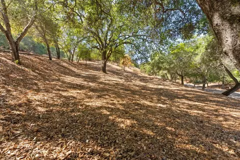 16099 Greenwood Rd, Monte Sereno, CA 95030
