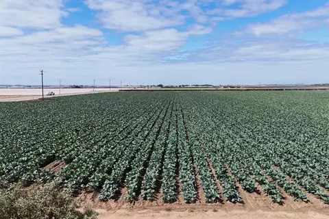 View/Area - 431 Espinosa Rd, Salinas, CA 93907 photo 11 of 11