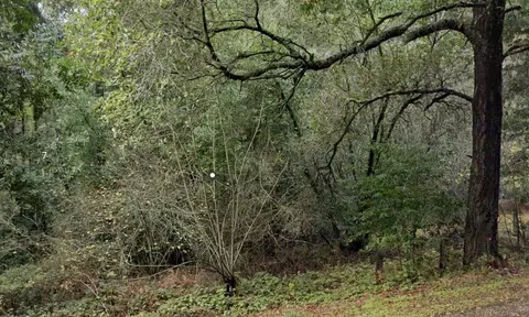 0 Glen Canyon Rd, Scotts Valley, CA 95066