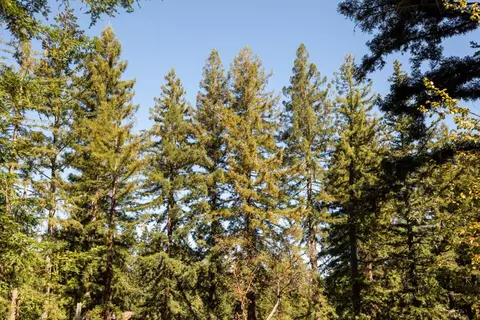 Other - Redland Rd, Woodside, CA 94062 photo 4 of 12