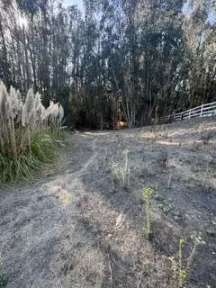 0 Carpenteria Rd, Aromas, CA 95004 photo 2