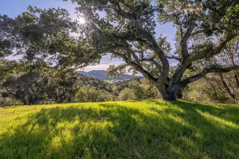 7 Vasquez Trl, Carmel, CA 93923 photo 4