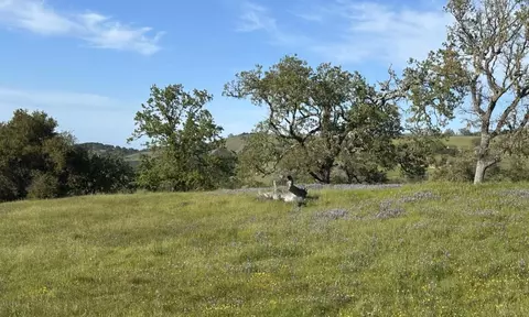 8 Touche Pass, Carmel, CA 93923 photo 16