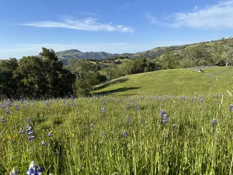 8 Touche Pass, Carmel, CA 93923 photo 23