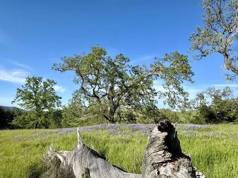 8 Touche Pass, Carmel, CA 93923 photo 19