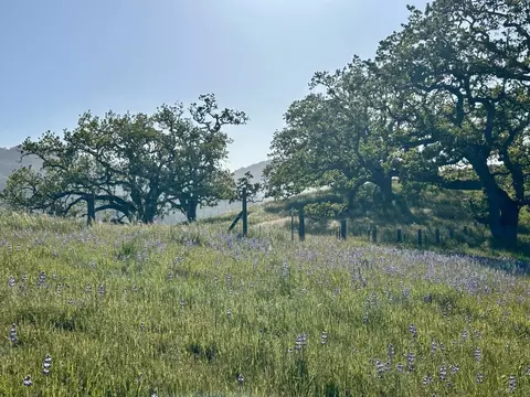 8 Touche Pass, Carmel, CA 93923 photo 17