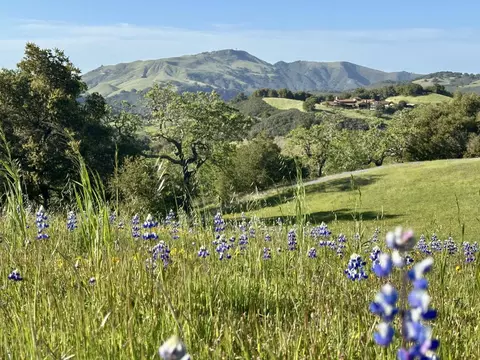 8 Touche Pass, Carmel, CA 93923 photo 25