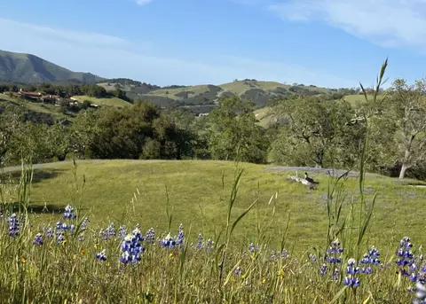 8 Touche Pass, Carmel, CA 93923 photo 12