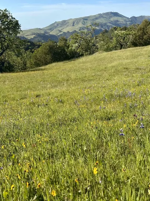 8 Touche Pass, Carmel, CA 93923 photo 11