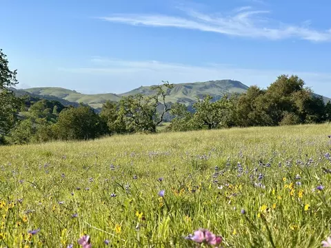 8 Touche Pass, Carmel, CA 93923 photo 3