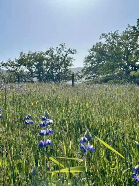 8 Touche Pass, Carmel, CA 93923 photo 27