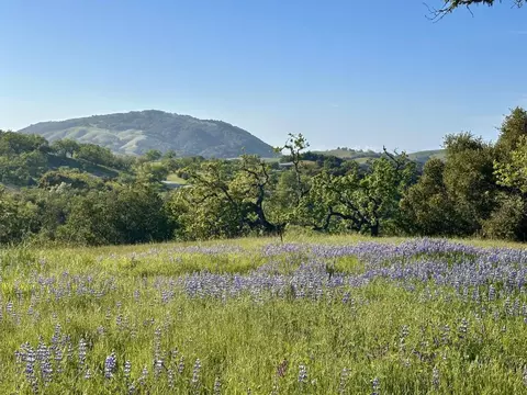 8 Touche Pass, Carmel, CA 93923 photo 10