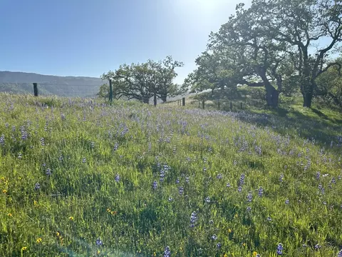 8 Touche Pass, Carmel, CA 93923 photo 6