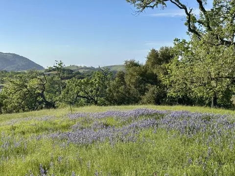 8 Touche Pass, Carmel, CA 93923 photo 29