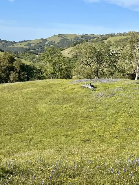 8 Touche Pass, Carmel, CA 93923 photo 4