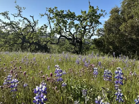 8 Touche Pass, Carmel, CA 93923 photo 18