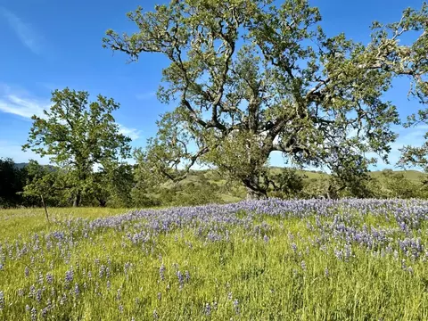 8 Touche Pass, Carmel, CA 93923 photo 9