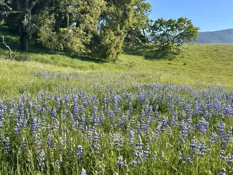 8 Touche Pass, Carmel, CA 93923 photo 7