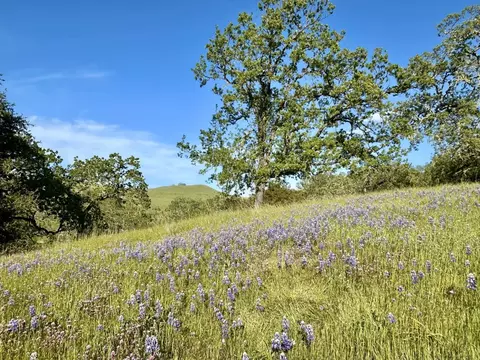 8 Touche Pass, Carmel, CA 93923 photo 13